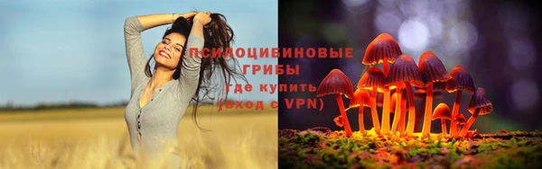 MDMA Premium VHQ Богородицк