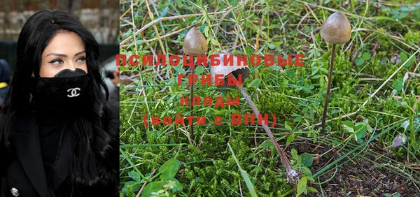MDMA Premium VHQ Богородицк