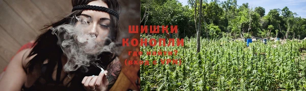 а пвп мука Богданович