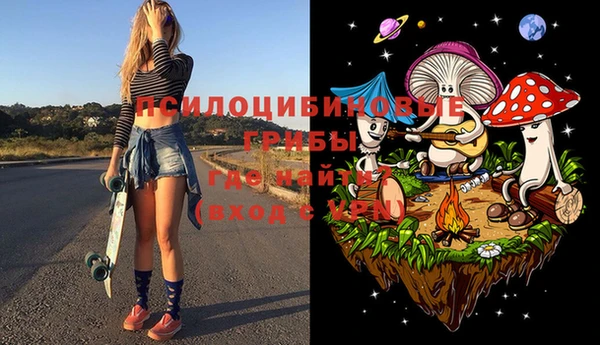 mix Богородск