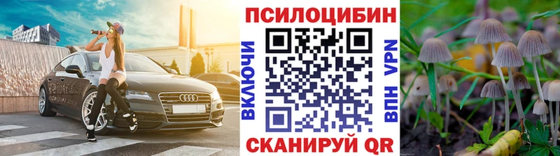 Купить закладки  Пыталово  Псилоцибиновые грибы Psilocybe 