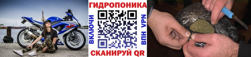 Купить закладки  Пыталово  МАРИХУАНА VHQ 